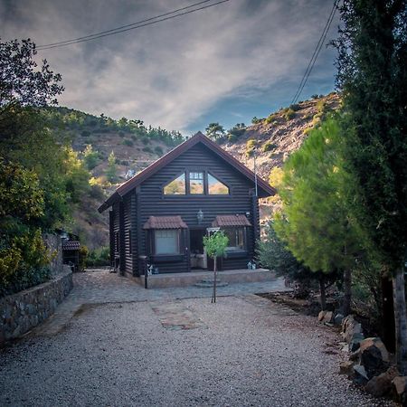 *2 Bdr Log House /Mountains/Queen Bed/Fireplace Gourri Dış mekan fotoğraf