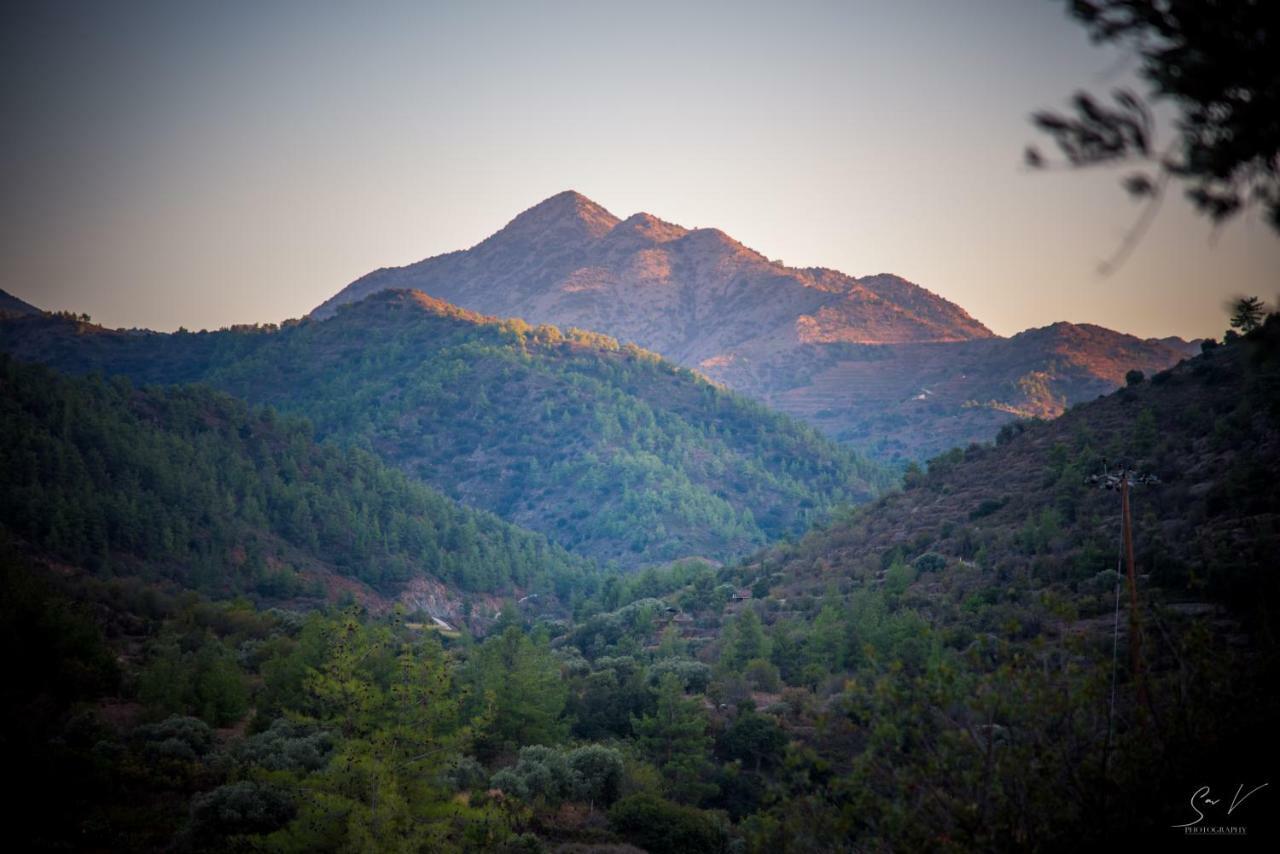 *2 Bdr Log House /Mountains/Queen Bed/Fireplace Gourri Dış mekan fotoğraf