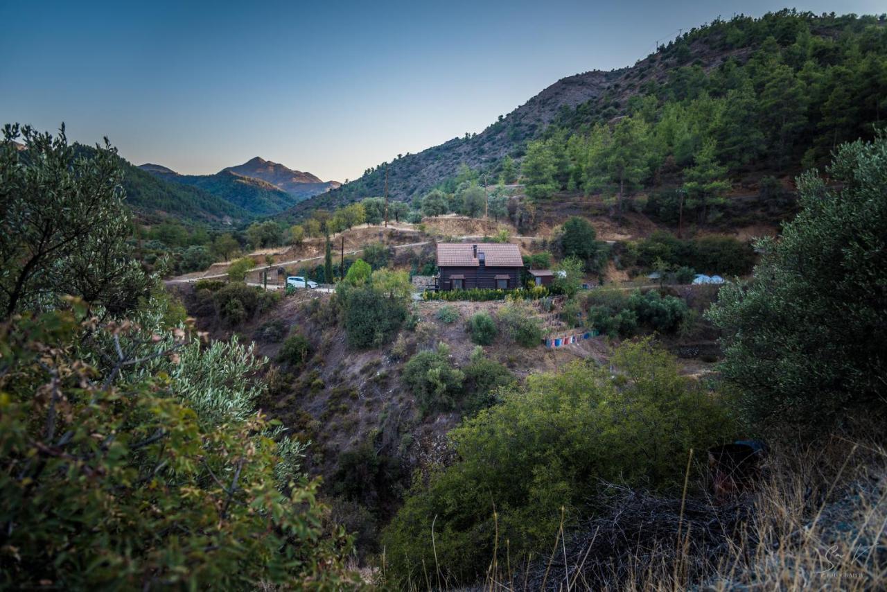 *2 Bdr Log House /Mountains/Queen Bed/Fireplace Gourri Dış mekan fotoğraf